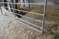 10' GALVANISED GATE (16) - 7