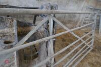 12' GALVANISED GATE (18) - 6