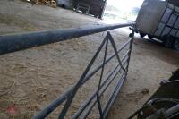 12' GALVANISED GATE (18) - 7