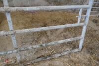 12' GALVANISED GATE (19) - 3