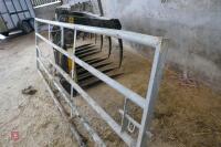 12' GALVANISED GATE (19) - 10