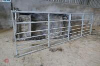 IAE 13' GALVANISED GATE - 2