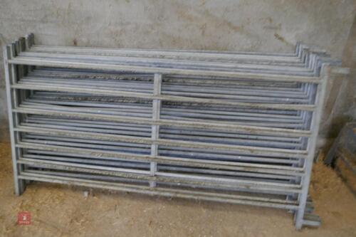 10 GALVANISED 6' SHEEP HURDLES (23)