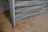 10 GALVANISED 6' SHEEP HURDLES (23) - 2