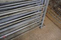 10 GALVANISED 6' SHEEP HURDLES (23) - 6