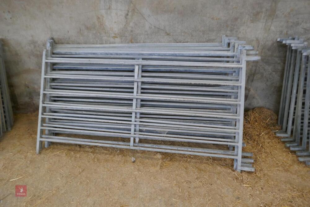 12 GALVANISED 6' SHEEP HURDLES (25)