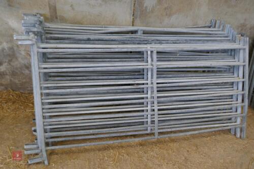 13 GALVANISED 6' SHEEP HURDLES (26)