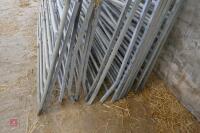 16 GALVANISED 6' SHEEP HURDLES (27) - 7