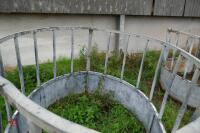 GALVANISED YEARLING CATTLE ROUND FEEDER - 8