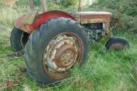 MASSEY FERGUSON 65 2WD TRACTOR S/R - 7