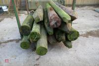 17 WOODEN FENCE POSTS