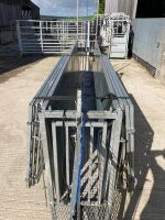 MOBILE SHEEP HANDLING SYSTEM - 3