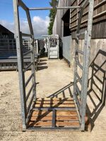 LIVESTOCK RACE INSPECTION GATE - 5