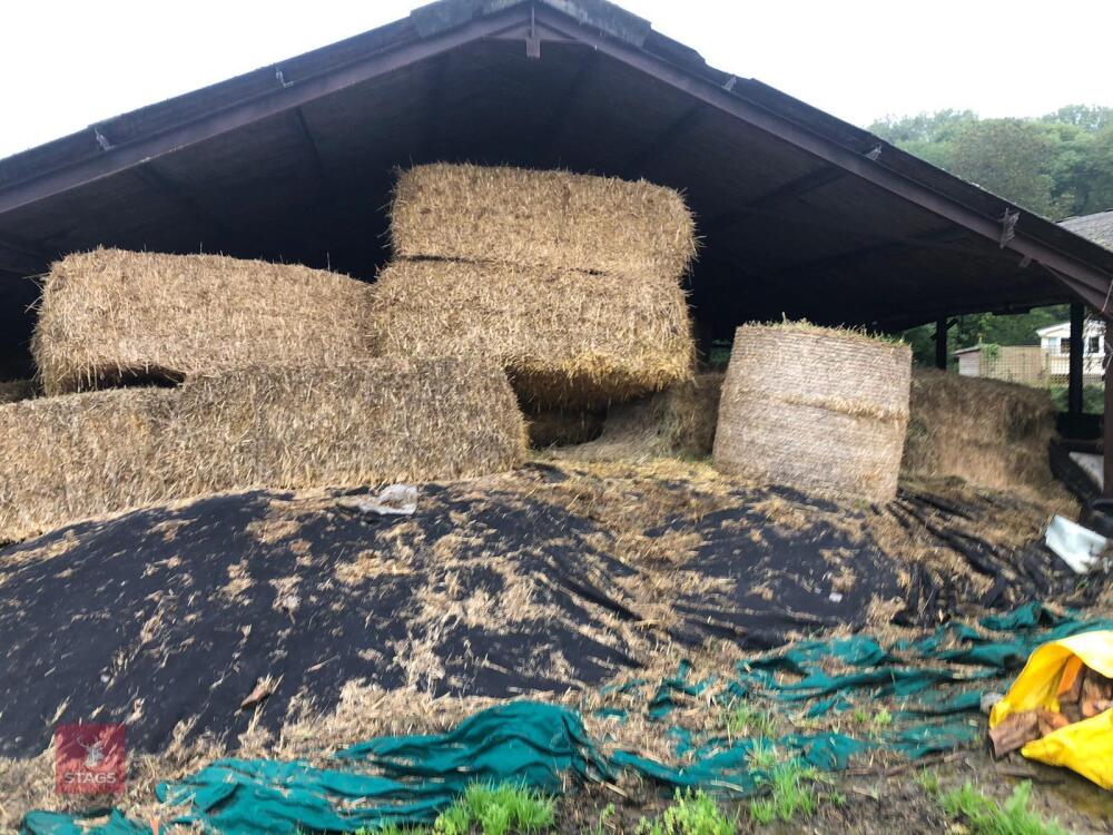 2023 1ST CUT CLAMP OF SILAGE