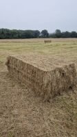 200 BALES OF MEADOW HAY - 3