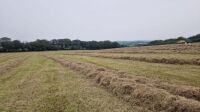 200 BALES OF MEADOW HAY - 4