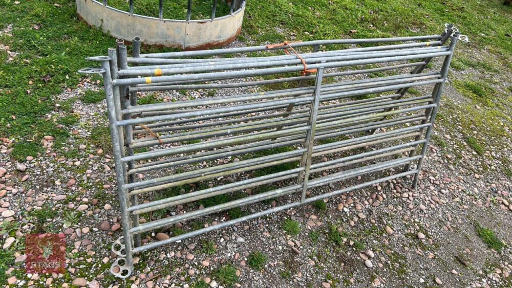 5 X 6' SHEEP HURDLES