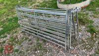 5 X 6' SHEEP HURDLES - 2