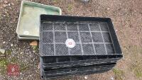 LARGE QTY OF POTTING TRAYS - 4