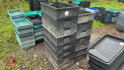 15 HD PLASTIC TRAYS