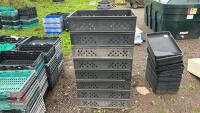 15 HD PLASTIC TRAYS - 2