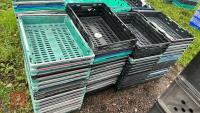 LARGE QTY OF STACKING TRAYS - 6