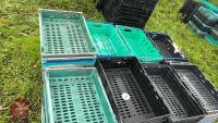 LARGE QTY OF STACKING TRAYS - 7