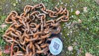 TOW/LIFTING CHAIN - 2