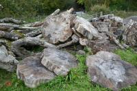 LARGE QTY OF FIREWOOD TIMBER - 19