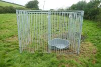 8' X 5' GALV DOG CAGE/RUN - 2