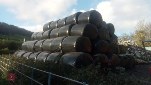 25 ROUND BALES OF FIRST CUT HAYLAGE (BIDS PER BALE)