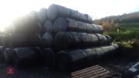 25 ROUND BALES OF FIRST CUT HAYLAGE (BIDS PER BALE) - 2