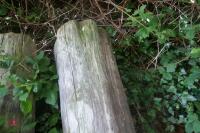 2 X 8' GATE POSTS - 4