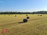 25 ORGANIC ROUND SILAGE BALES(BIDS PER BALE) - 2