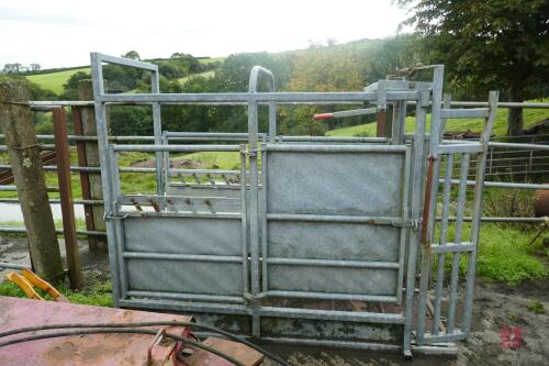 GALVANISED CATTLE CRUSH