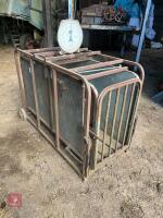 LAMB/PIG WEIGH CRATE - 3