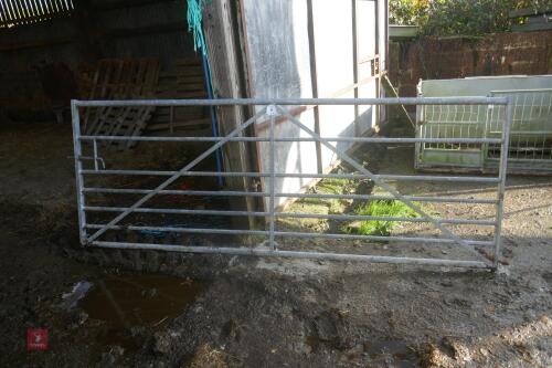 10' GALVANISED GATE (64)