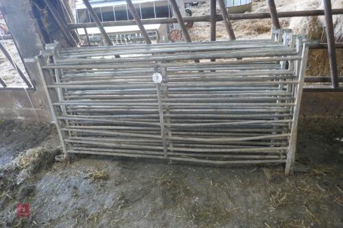 8 X 6' GALVANISED HURDLES (81)