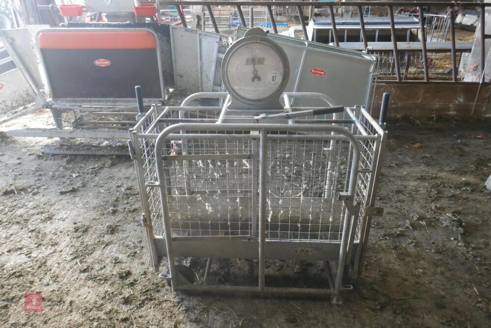 IAE LAMB WEIGH CRATE (87)