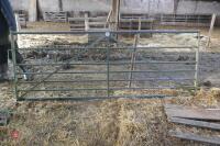 10' GALVANISED FIELD GATE (151)