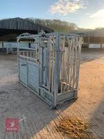 IAE CATTLE HANDLING SYSTEM WITH CRUSH - 9