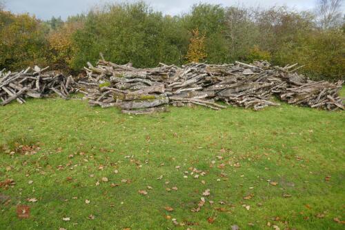 LARGE QUANTITY OF FELLED TIMBER