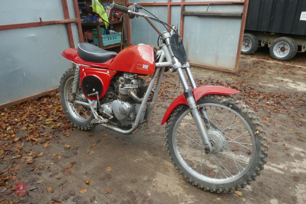 Triumph metisse deals for sale