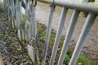 GALVANISED AGRITUBEL CATTLE FEED BARRIER - 11