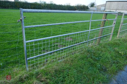 11' GALVANISED GATE