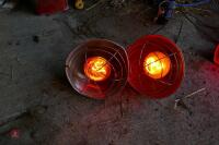 2 INFRA RED HEAT LAMPS