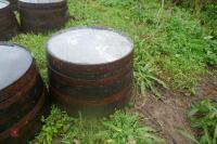 2 HALF OAK WHISKEY BARRELS - 3