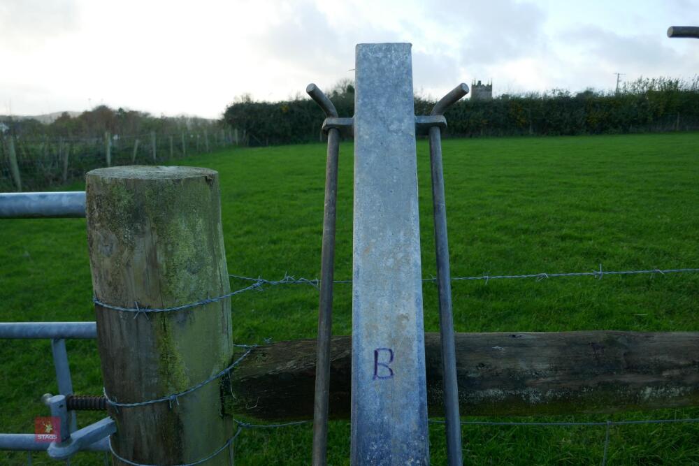 GALVANISED HANGING POST