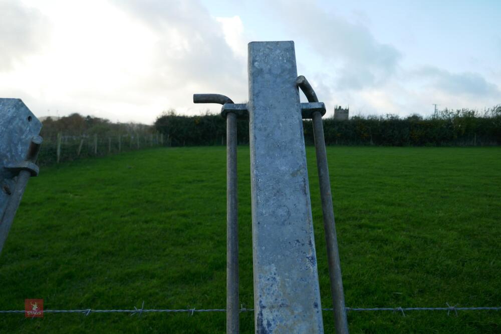 GALVANISED HANGING POST