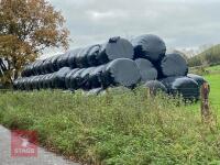 10 ROUND BALES OF FIRST CUT HAYLAGE(BIDS PER BALE)